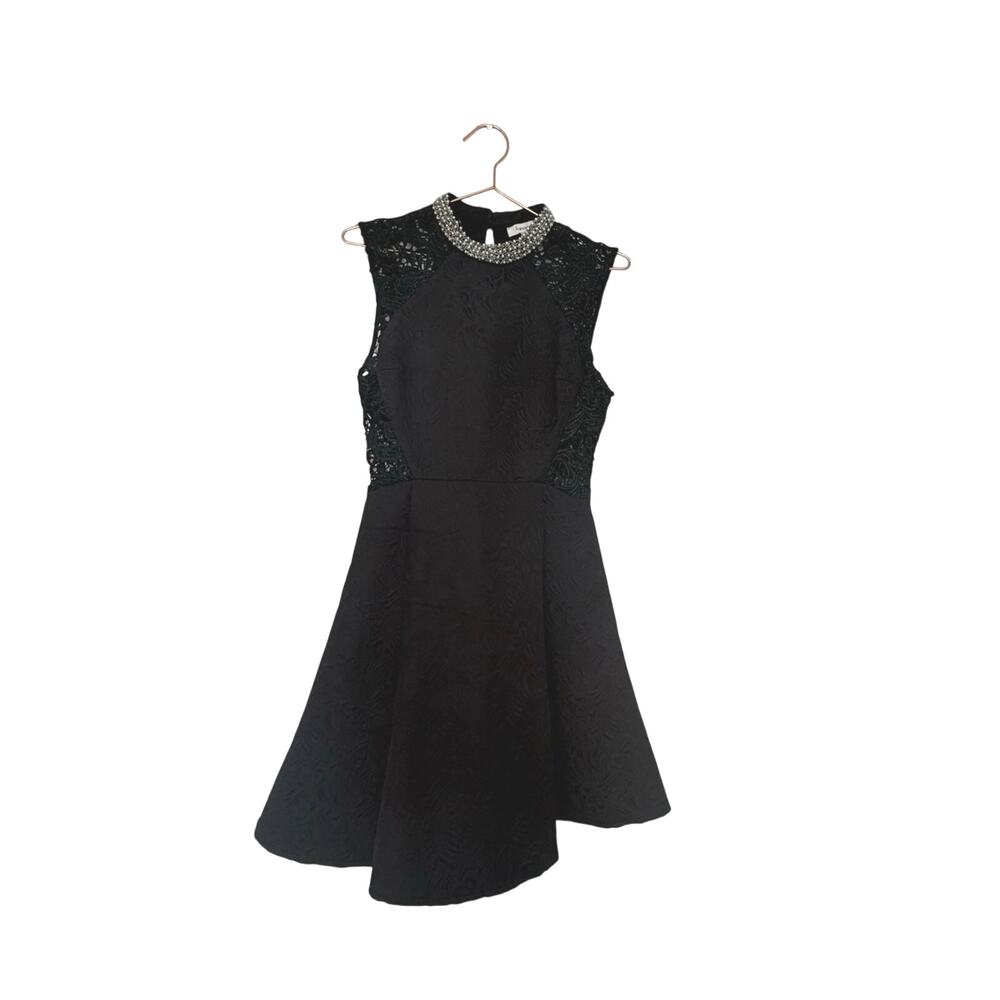 Francesca's Collections Black Jewel Neck Lace Fit & Flare Mini Dress